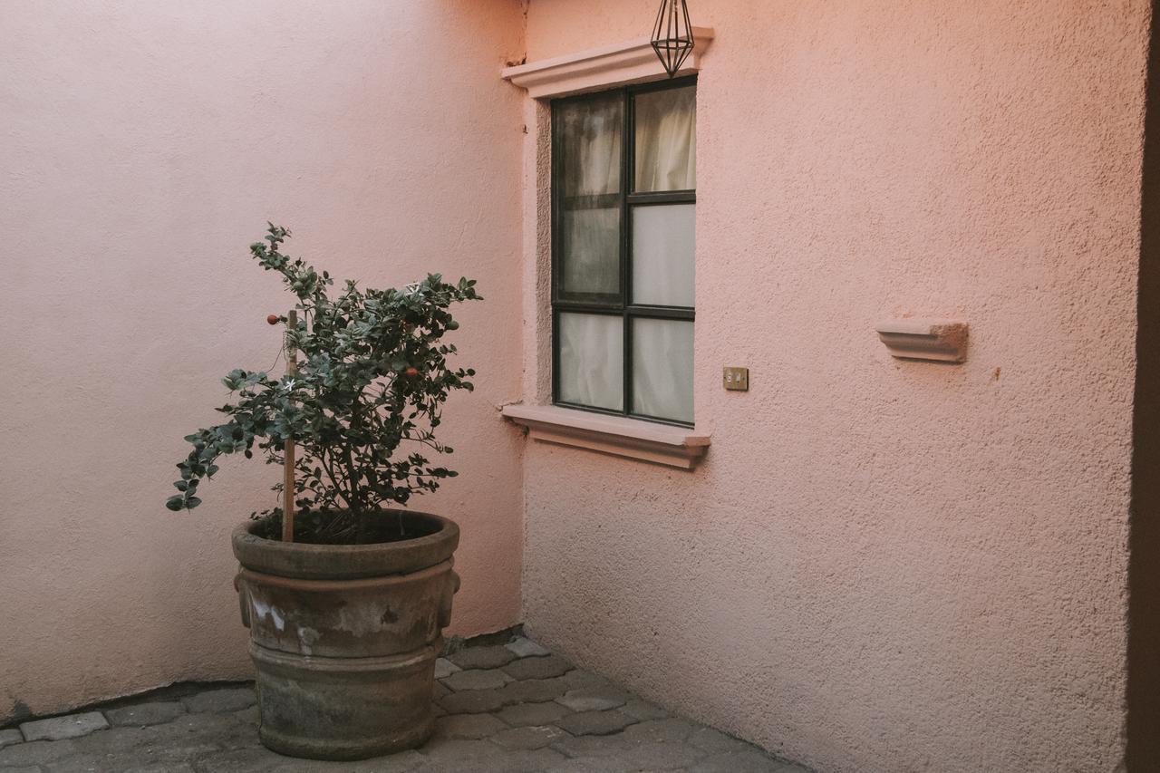 Casa Los Naranjos Альенде Экстерьер фото